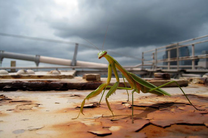 Ustalardan 100 Gün 100 Fotoğraf