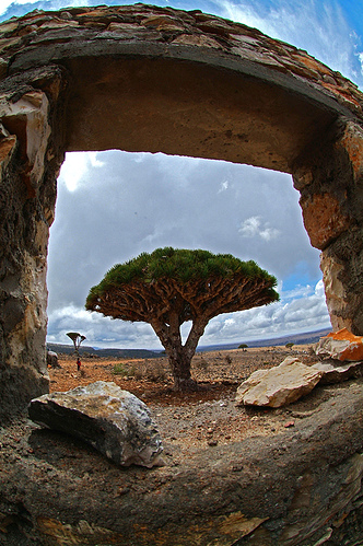 Yeryüzünün gizemli adası