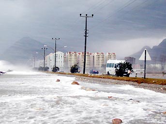 Dünyanın en merak edilen soruları