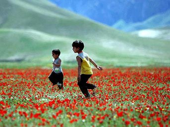 Dünyanın en merak edilen soruları