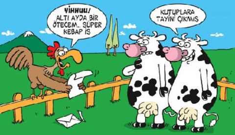 2010'a damga vuran 93 karikatür!