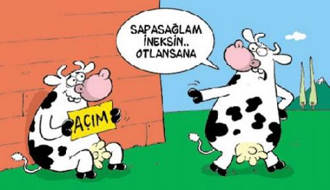 2010'a damga vuran 93 karikatür!