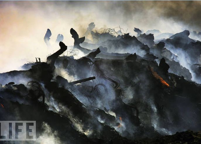 Unutulmaz fotoğraflar