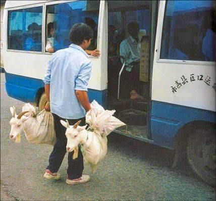 Bu kareler çok konuşuluyor