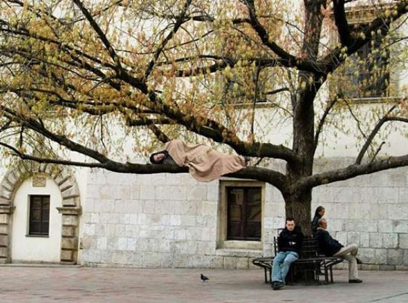 Hangisi yalan hangisi gerçek