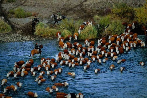 Kuşbakışı manzaralar