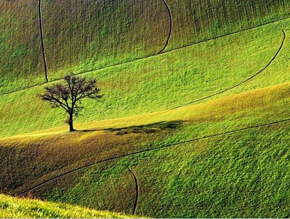 National Geographic en iyileri seçti