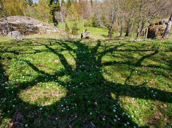 National Geographic en iyileri seçti