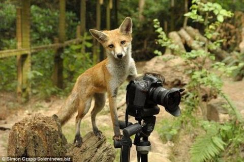 İnternetin en çılgın fotoğrafları