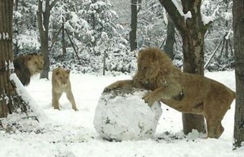 İnternetin en çılgın fotoğrafları