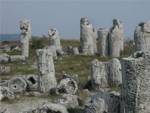 Doğanın garip şekilleri 