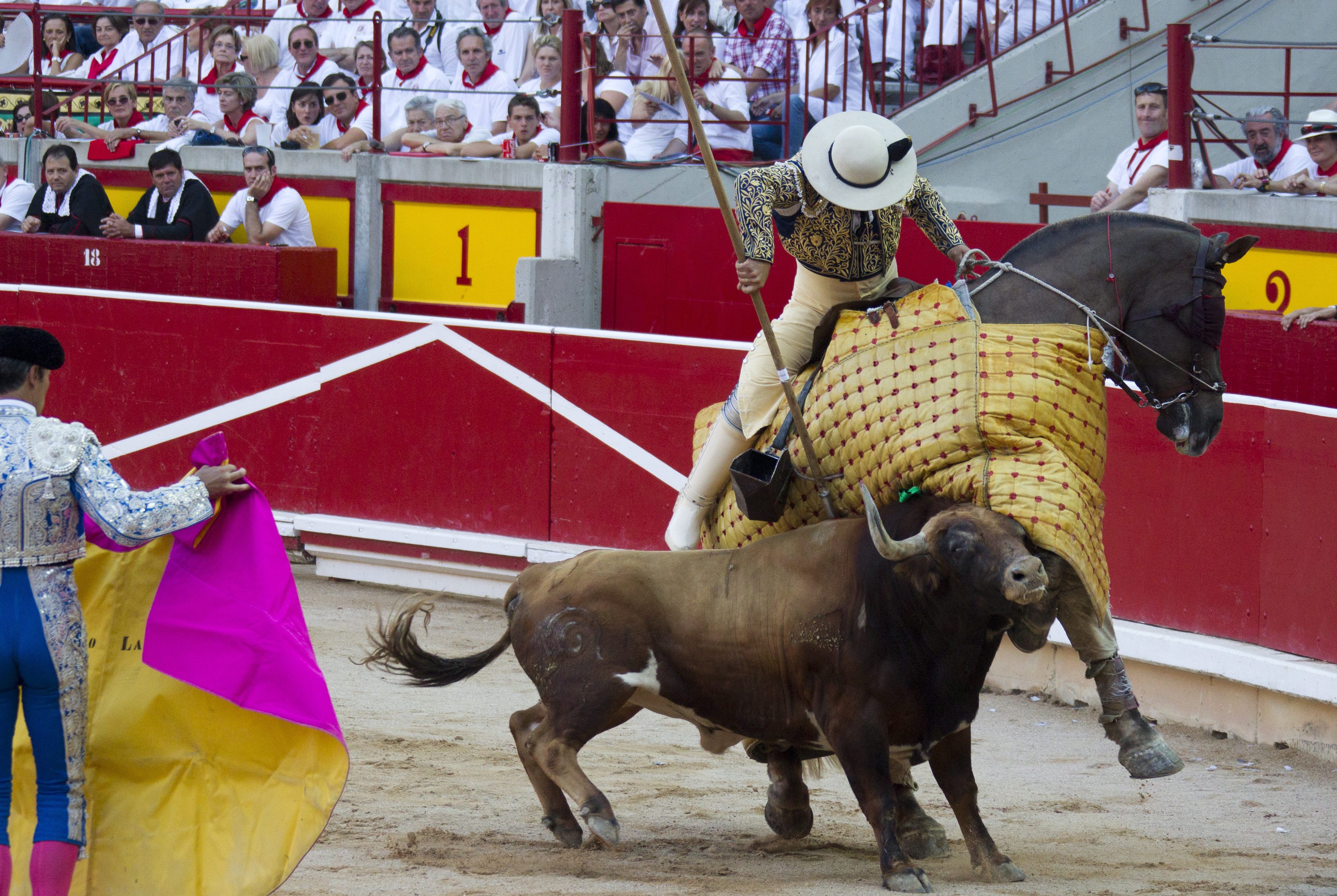 San Fermin Festivali başladı