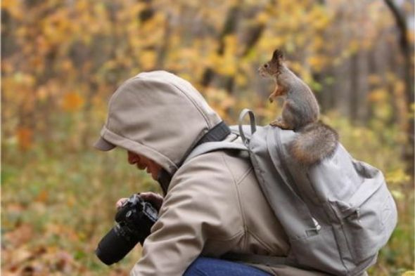 Güldüren fotoğraflar