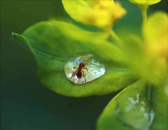 Güldüren fotoğraflar