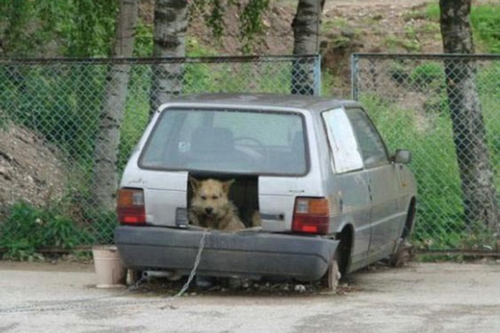 Yurdum İnsanından çözümlemeler