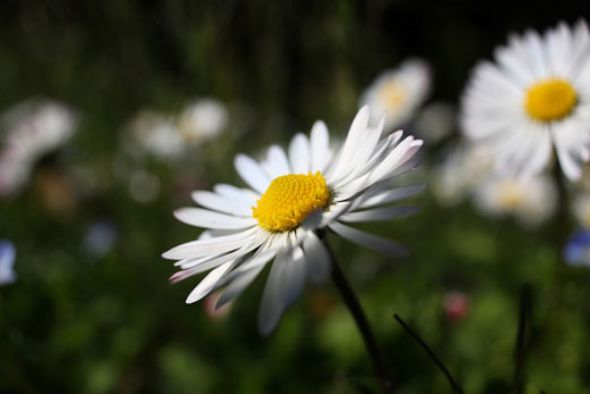 Bir oradan bir buradan fotoğraflar