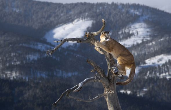 Bir oradan bir buradan ilginç fotoğraflar