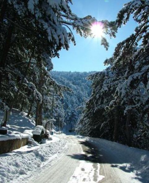 İnternetten seçilmiş fotoğraflar-2