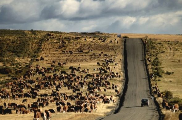 Yaşamdan fotoğraflar