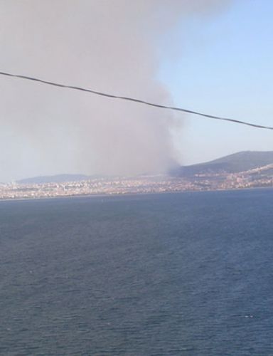 Maltepe de orman yangını