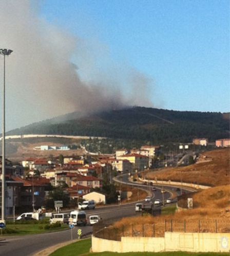 Maltepe de orman yangını