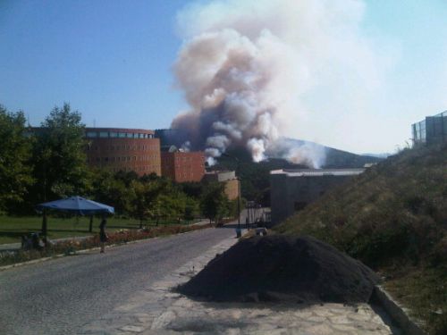 Maltepe de orman yangını