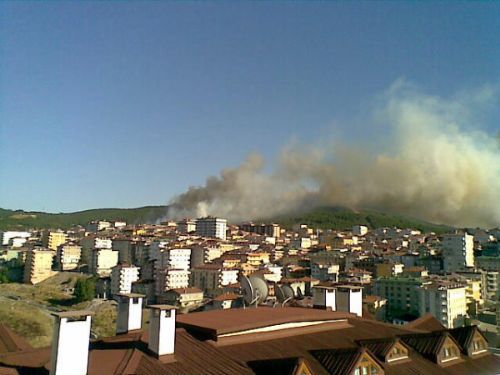 Maltepe de orman yangını