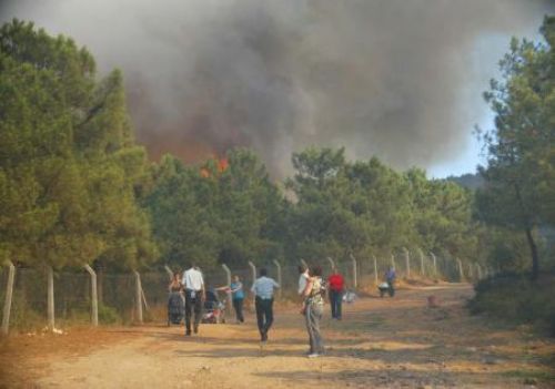 Maltepe de orman yangını