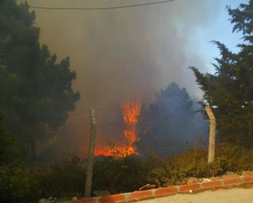 Maltepe de orman yangını