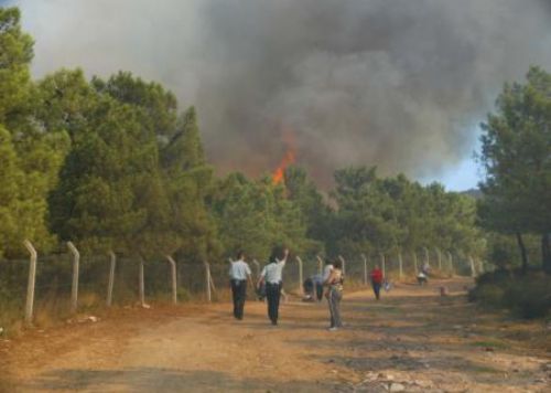 Maltepe de orman yangını