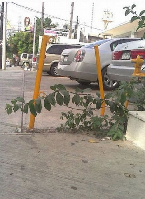 Alfabeye bir de böyle bakın