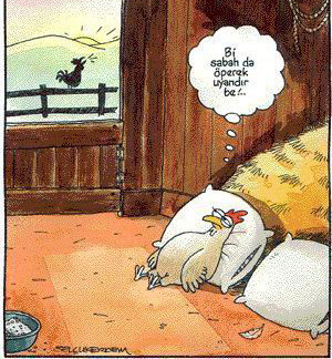 İlginç karikatürler