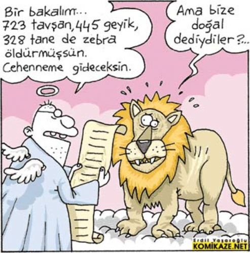 İlginç karikatürler