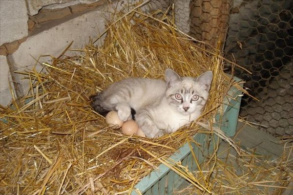 Bu ayın en çok konuşulan kareleri