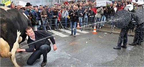 Dünyanın en saçma fotoğrafları