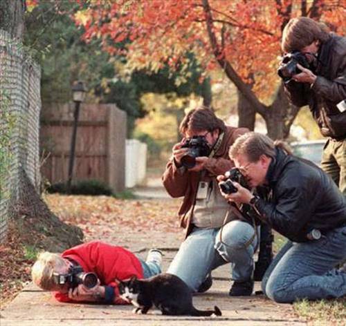 Dünyanın en saçma fotoğrafları