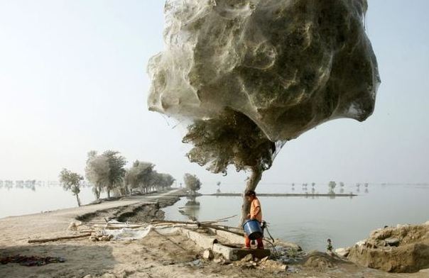 National Geographic 2011 Fotoğrafları