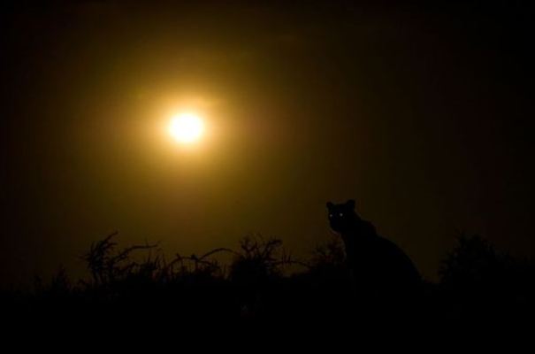 National Geographic 2011 Fotoğrafları