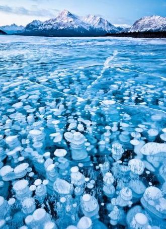 National Geographic 2011 Fotoğrafları