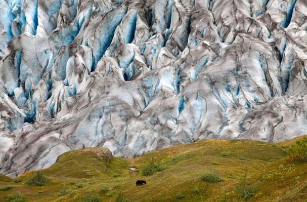 National Geographic 2011 Fotoğrafları