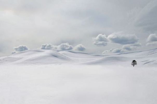 National Geographic 2011 Fotoğrafları