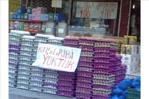 Yurdum İnsanı 