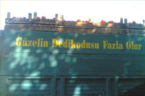 Yurdum İnsanı 