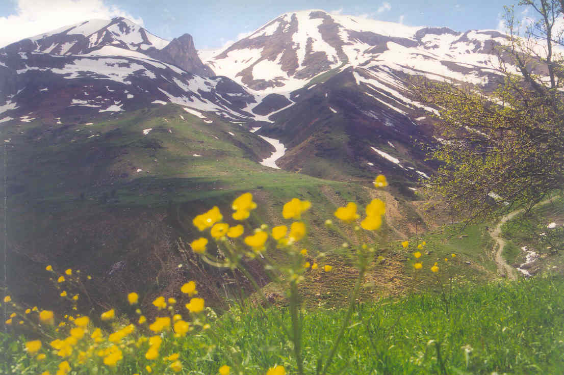 Dersim Olayları