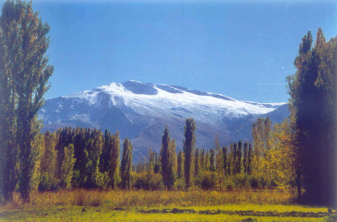 Dersim Olayları