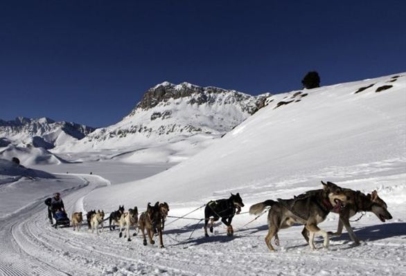 2011'in en iyi spor fotoğrafları