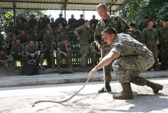 Tatbikat için kobra kanı içtiler