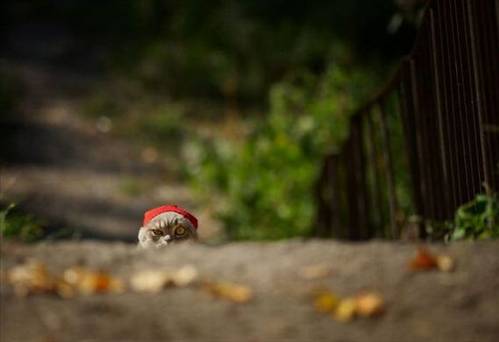 Tam zamanında çekilen fotoğraflar