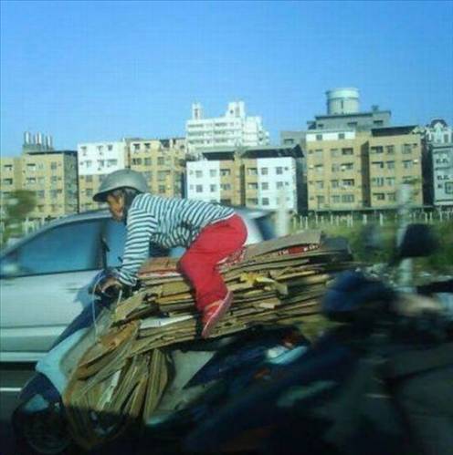 Bu fotoğraflar numunelik türden