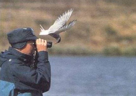 Dünya'dan ilginç fotoğraflar